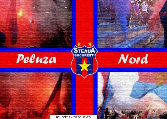 FanClub STEAUA - harta stelei !!!!!!!!!!! - totul despre fotball