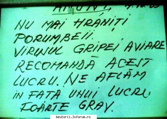 Gripa aviara - Carmen S - sa mai si radem :)))