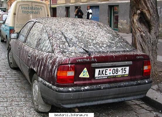 masini - kte pasarele or fi fost?:D - masini