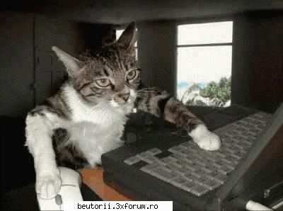 poze super comice - si nu stiam cune draq imi umbla mie in calc - poze comice