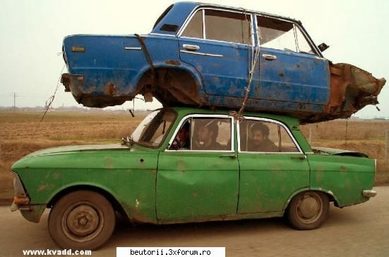 poze super comice - idei de afaceri in Romania - poze comice