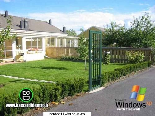 poze super comice - windows bazat cu protectii - poze comice