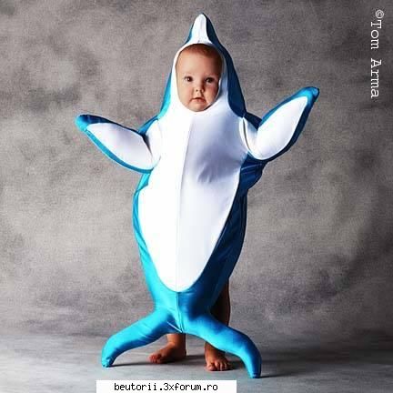 pui de oameni - ce delfinas,ingeras!!!!!!!!!!!! - poze comice