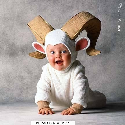 pui de oameni - V2_juniOr - poze comice