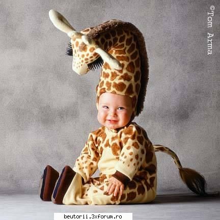 pui de oameni - uite si girafa!!! - poze comice
